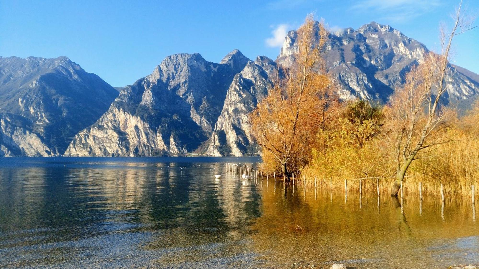 Casa Fiorella Torbole Sul Garda Εξωτερικό φωτογραφία